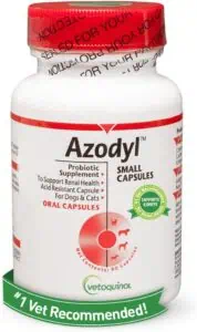 best kidney supplement for dogs