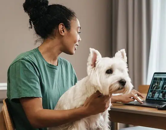 AI in pet care