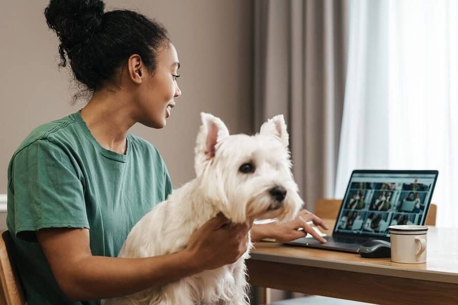 AI in pet care