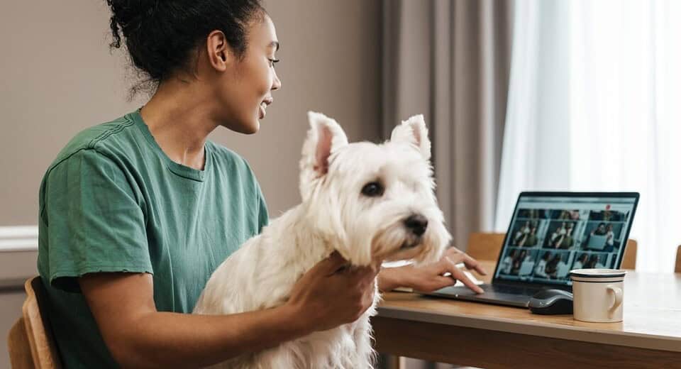 AI in pet care