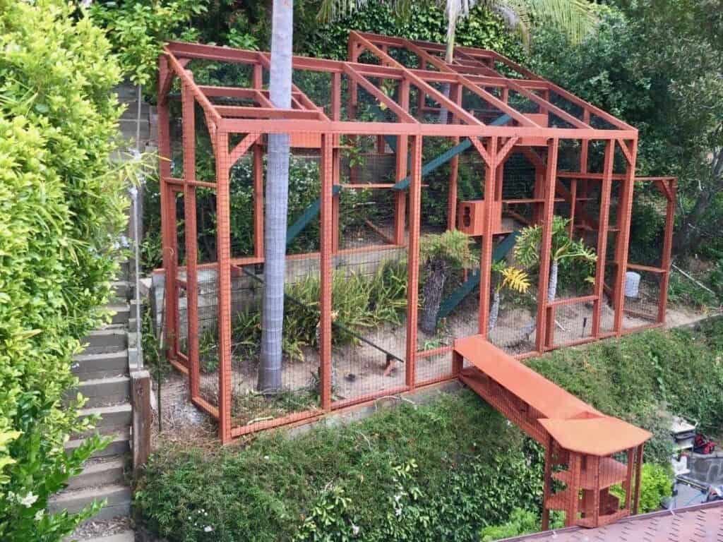 catio