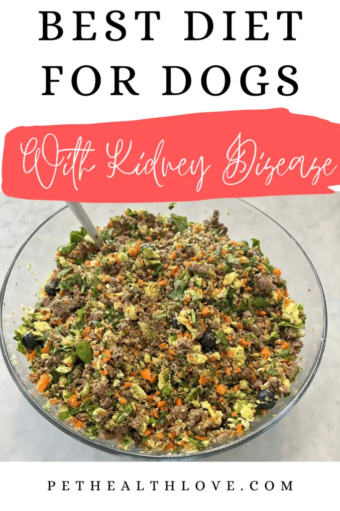 best diet for dogs with kidney disease