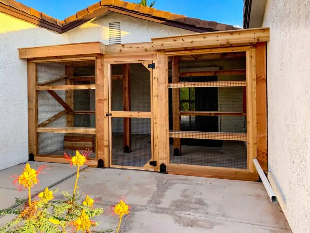 catio