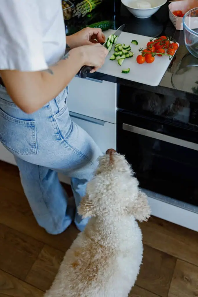 best kidney diet for dogs - lady cutting veggies in the kitchen while her dog stares
