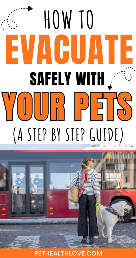 evacuation with pets