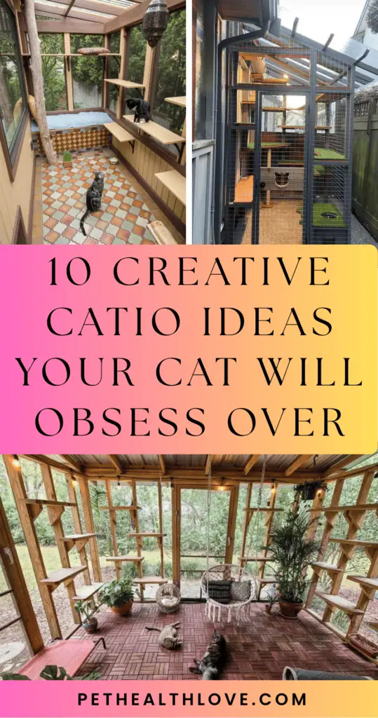 catio ideas
