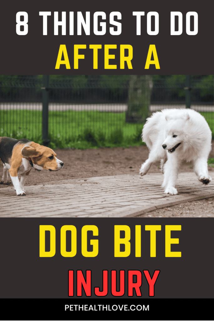 dog bite