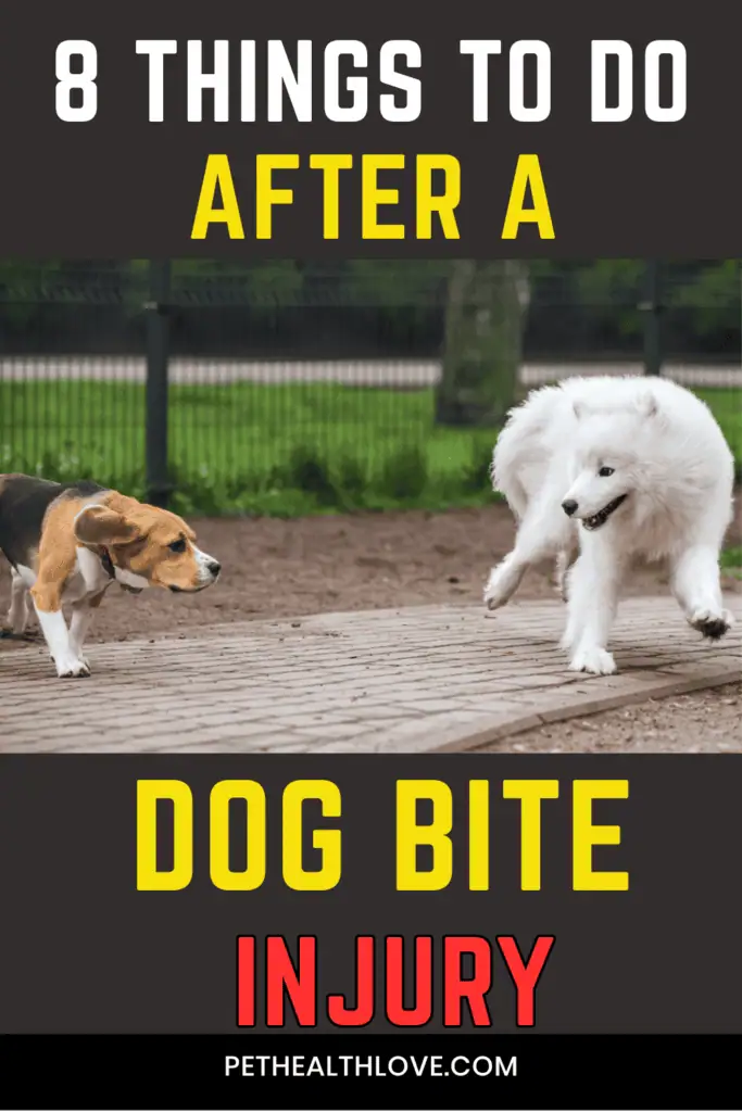 dog bite
