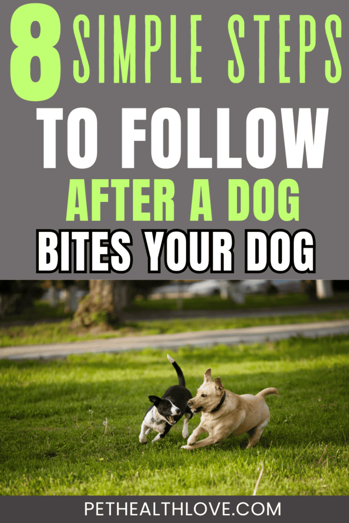 dog bite