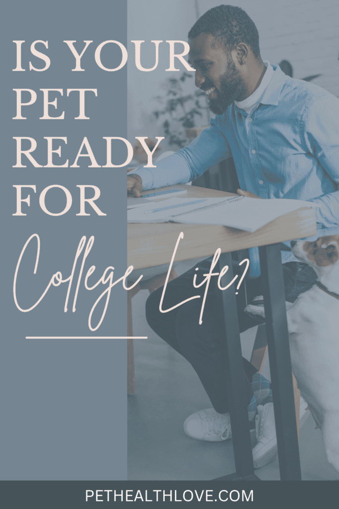 Should you take your pet to college