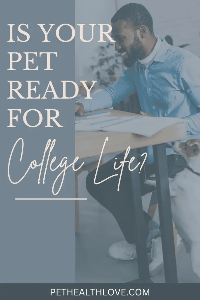 Should you take your pet to college
