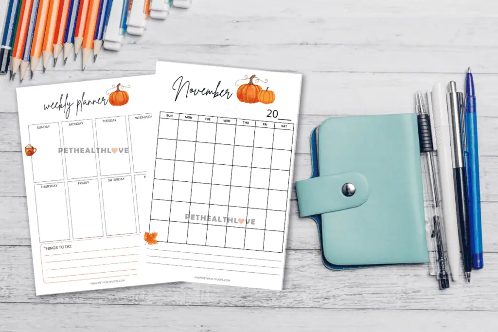 Thanksgiving Planner Mockup
