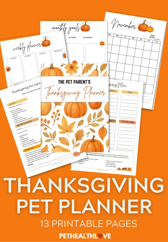 thanksgiving planner