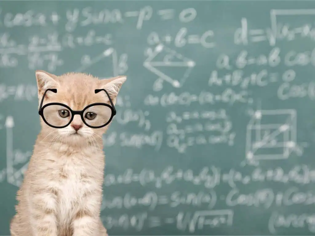 Thinking cat with questions mark