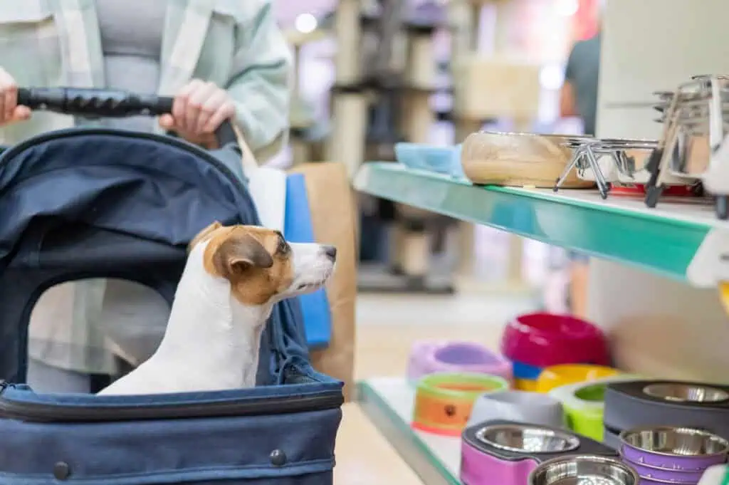 dog at petco